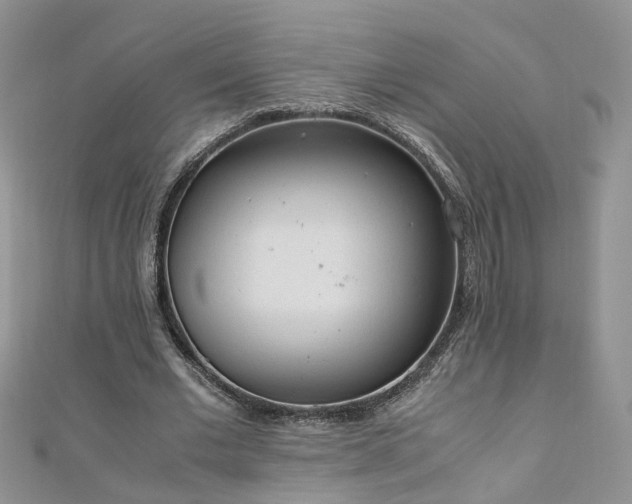 X0000110910677200906181343