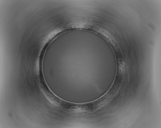 X0000110910678200906181343