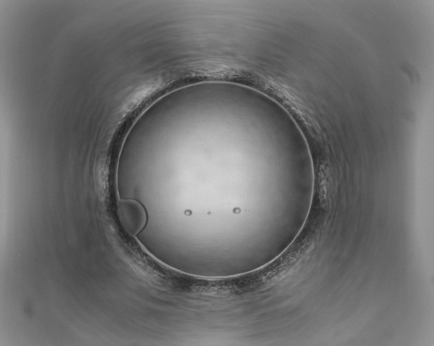 X0000110910679200906181343