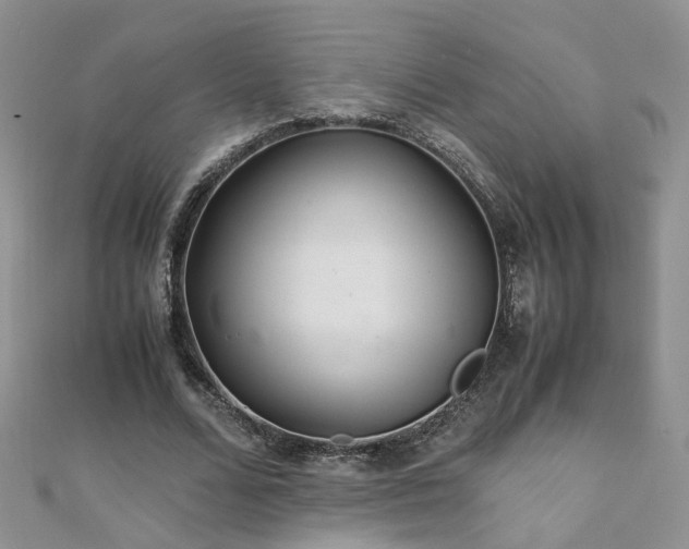 X0000110910680200906181343