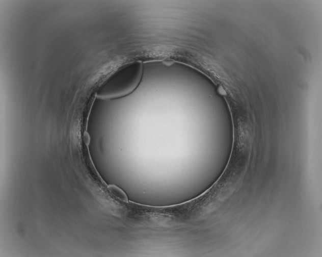 X0000110910681200906181343