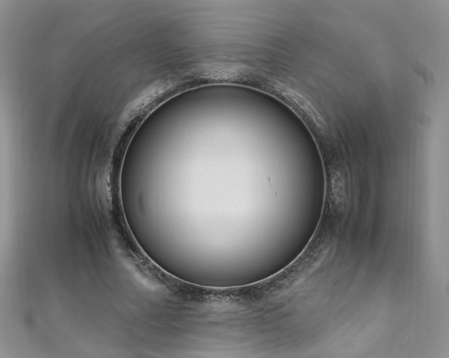 X0000110910682200906181343