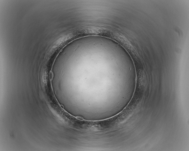 X0000110910683200906181343