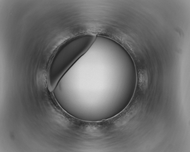 X0000110910684200906181343