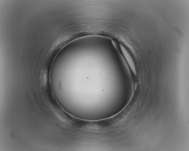 X0000110910685200906181343