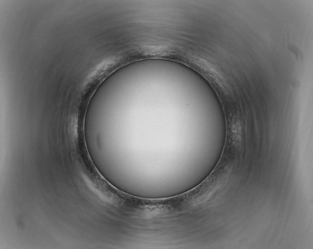 X0000110910686200906181343