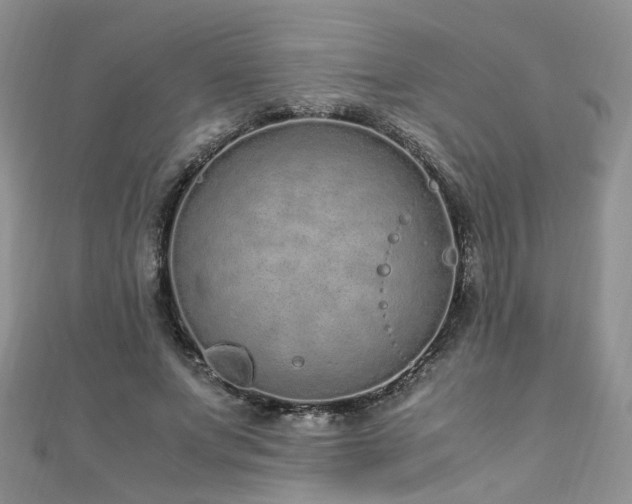 X0000110910687200906181343