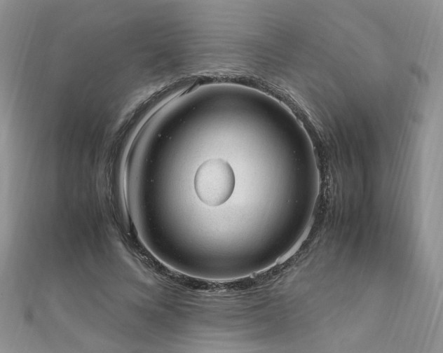 X0000110910688200906181343