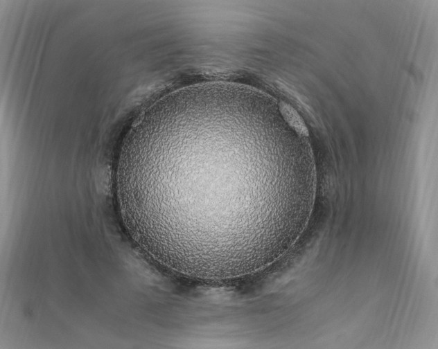 X0000110910689200906181343