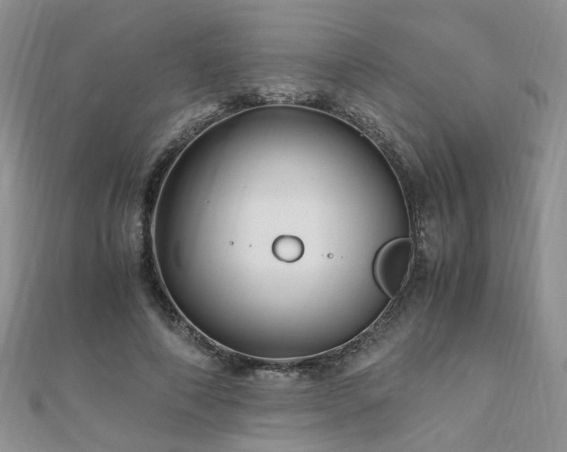 X0000110910690200906181343