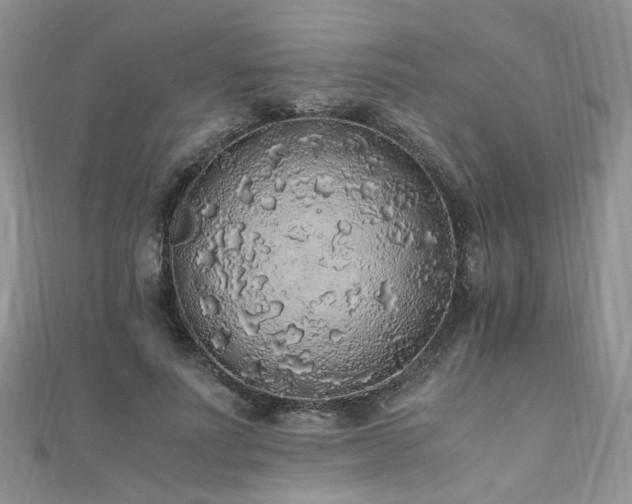 X0000110910691200906181343