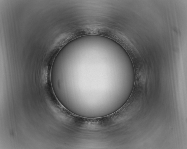 X0000110910694200906181343