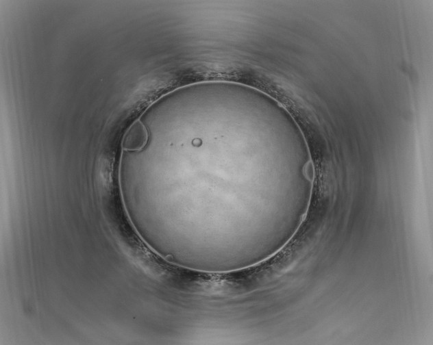 X0000110910695200906181343