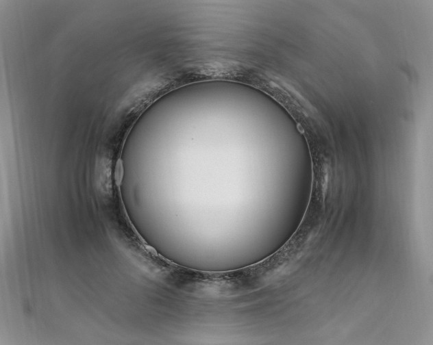 X0000110910696200906181343