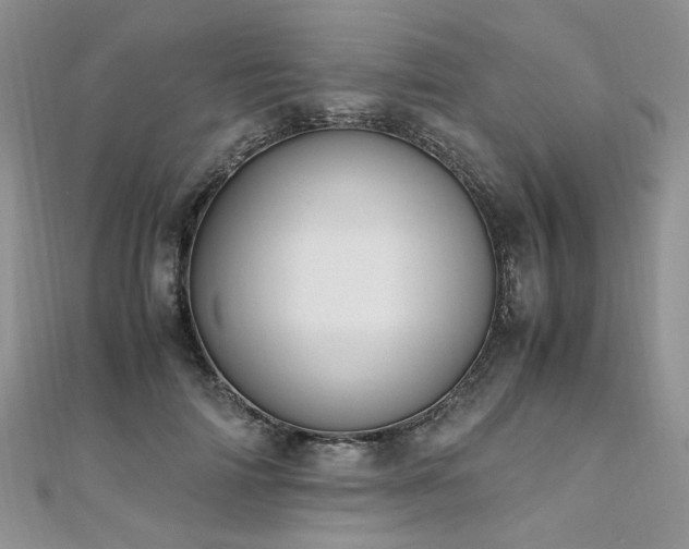 X0000110910698200906181343