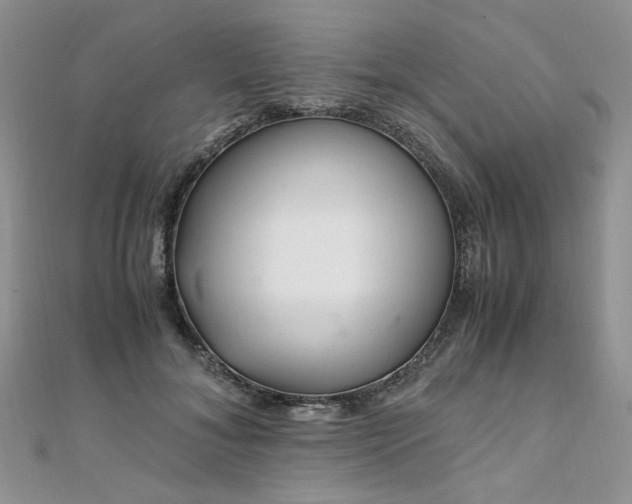 X0000110910700200906181343