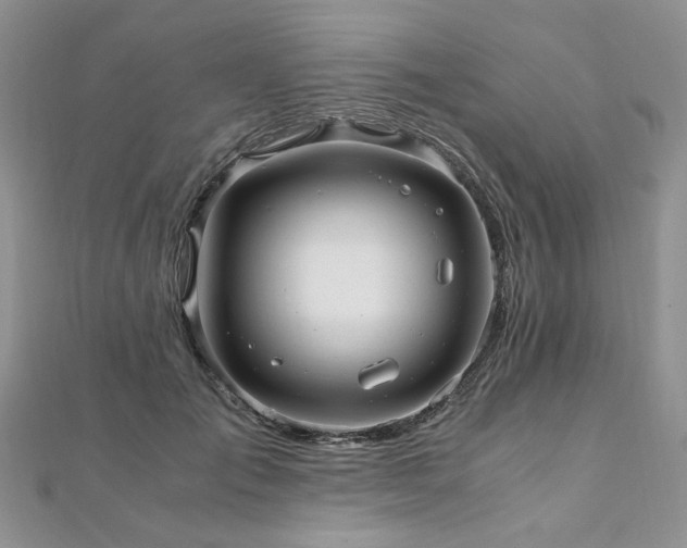 X0000110910701200906181343