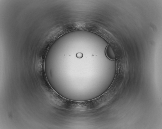 X0000110910702200906181343