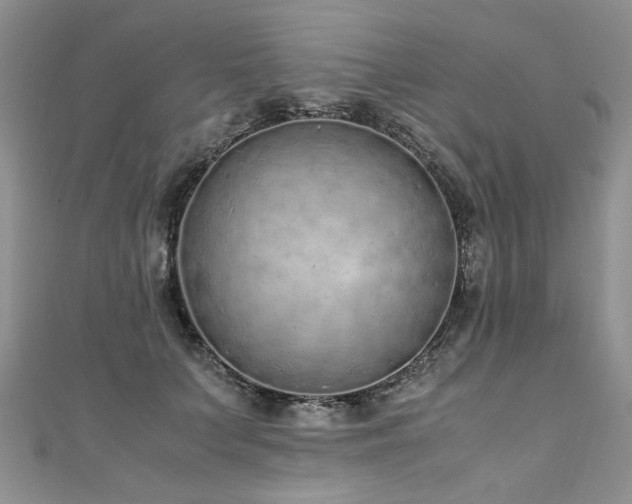 X0000110910703200906181343