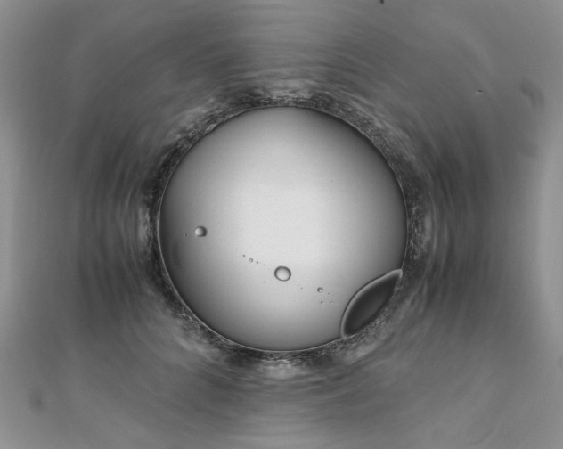 X0000110910704200906181343