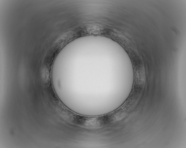 X0000110910705200906181343