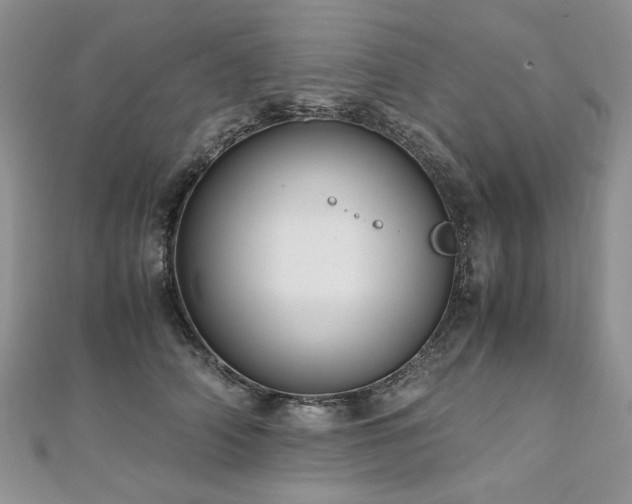 X0000110910706200906181343