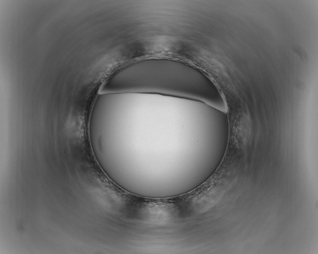 X0000110910708200906181343