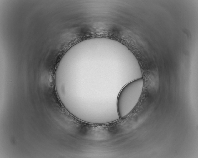 X0000110910709200906181343