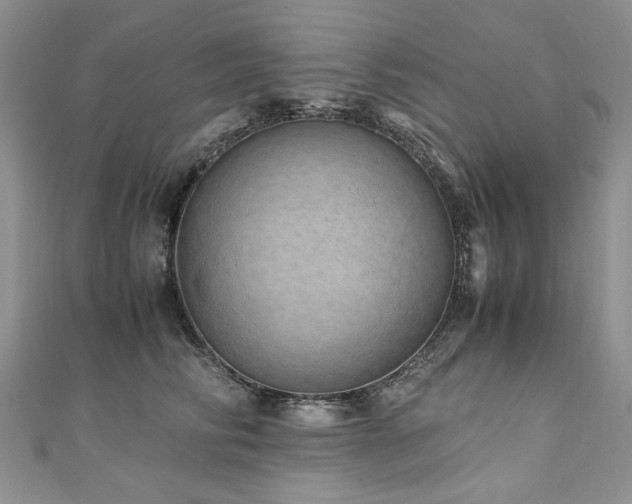 X0000110910710200906181343