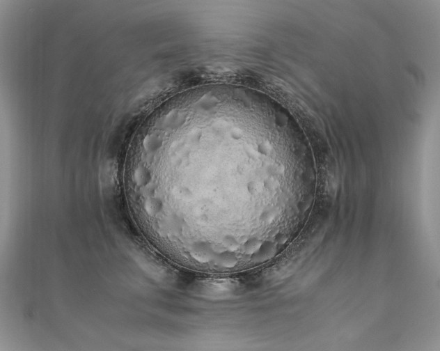 X0000110910711200906181343