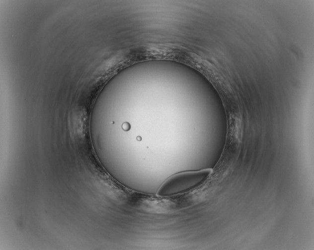 X0000110910712200906181343