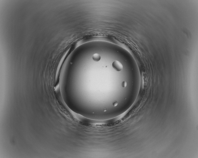 X0000110910713200906181343