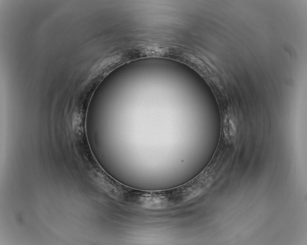 X0000110910714200906181343