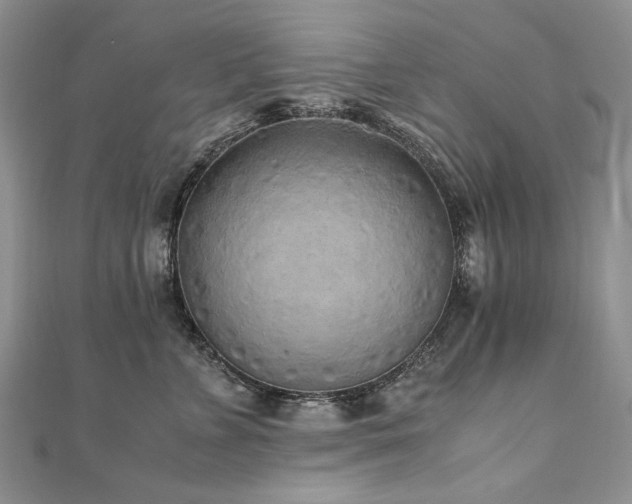 X0000110910715200906181343