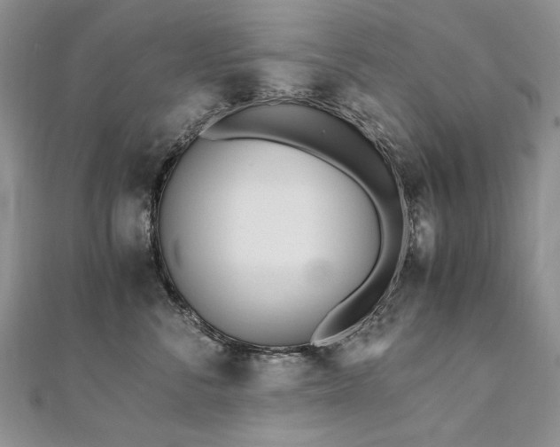 X0000110910716200906181343