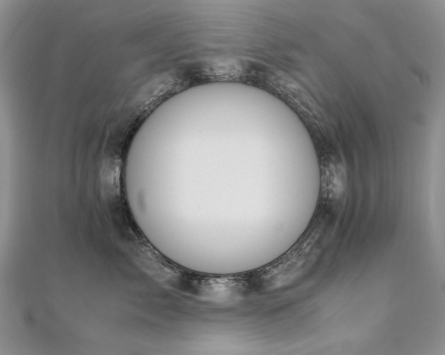 X0000110910717200906181343