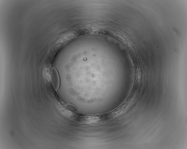 X0000110910719200906181343