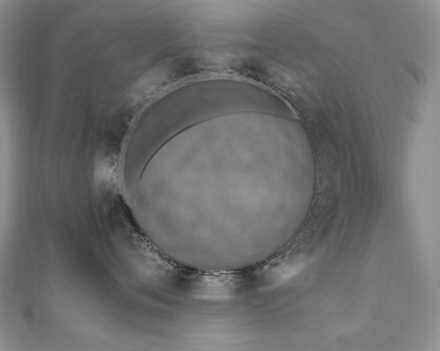 X0000110910720200906181343