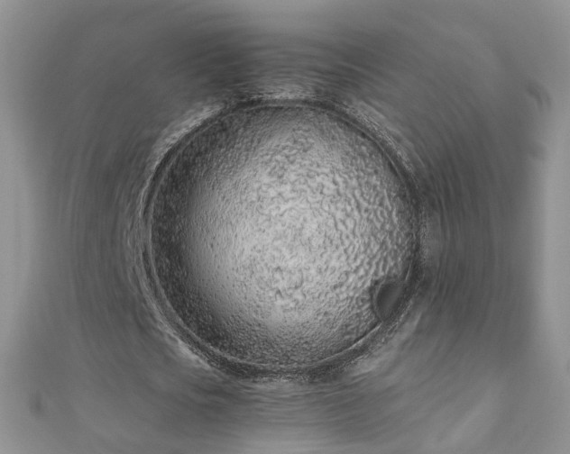 X0000110910721200906181342