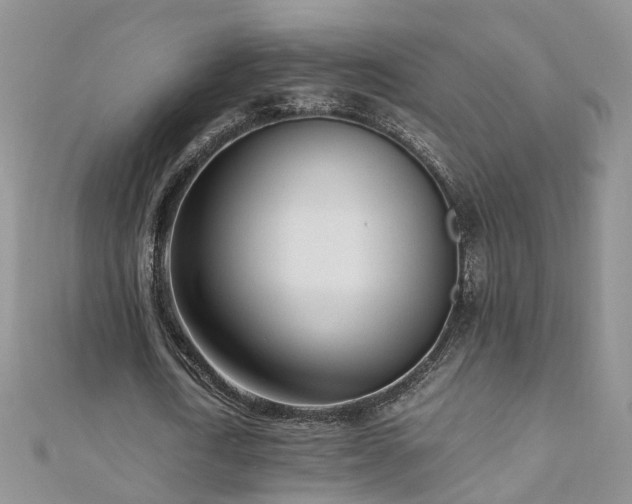 X0000110910722200906181342