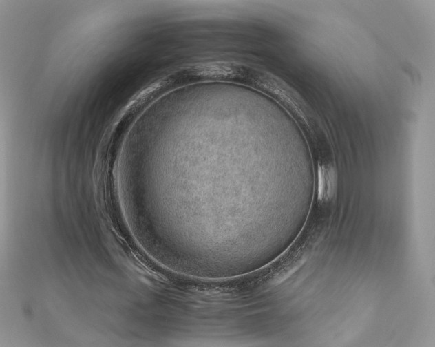 X0000110910723200906181342