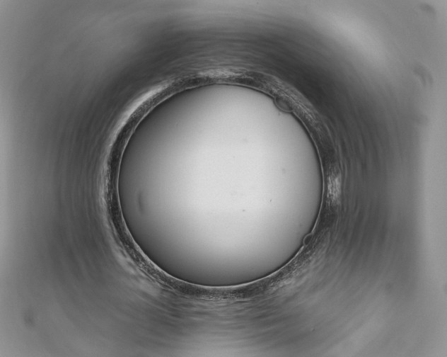 X0000110910724200906181342