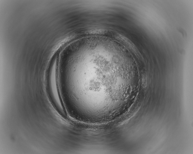 X0000110910725200906181342