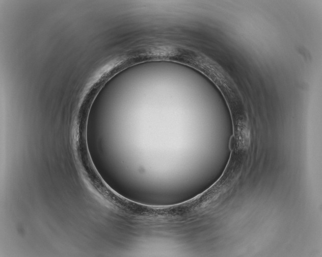 X0000110910726200906181342