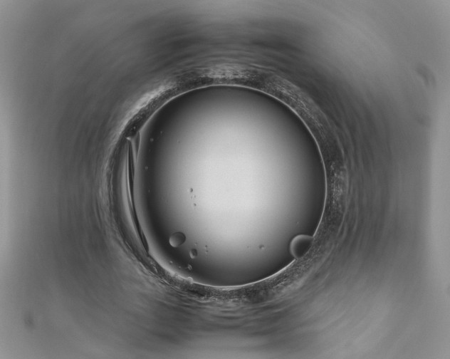 X0000110910727200906181342