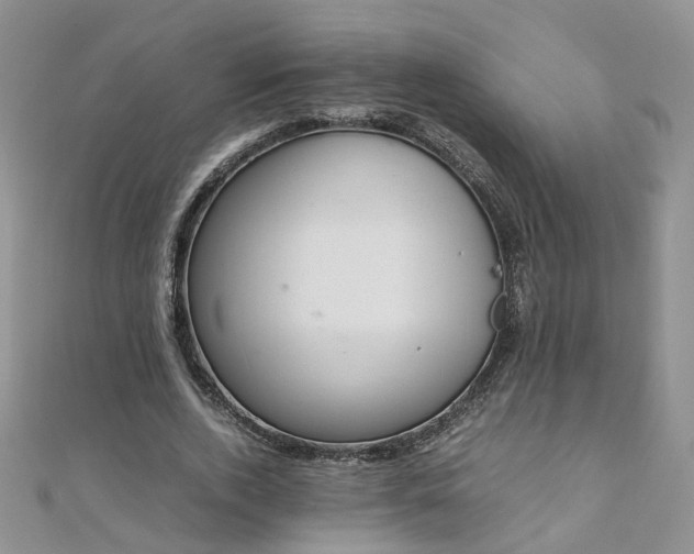 X0000110910728200906181342