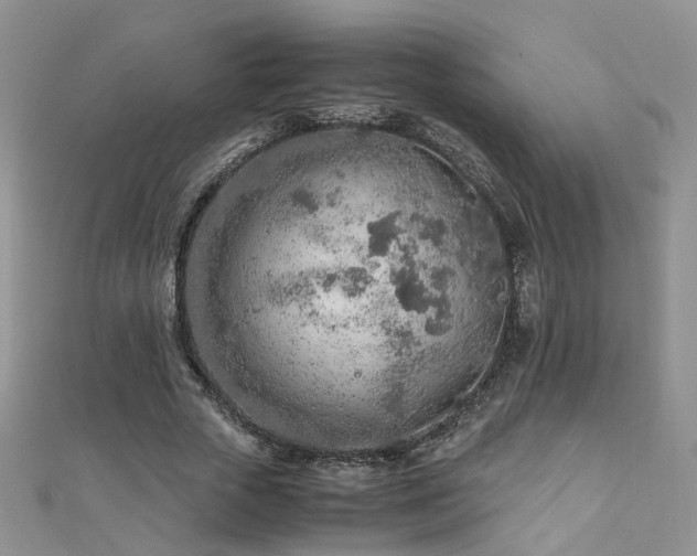 X0000110910729200906181342