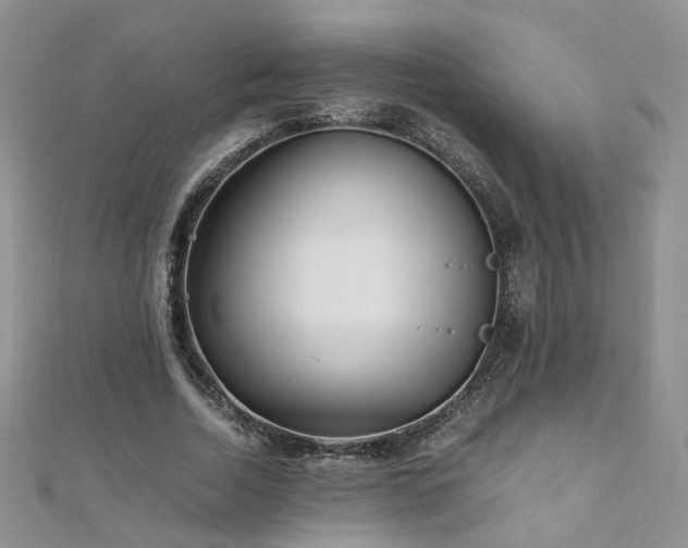 X0000110910730200906181342