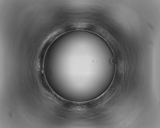 X0000110910731200906181342