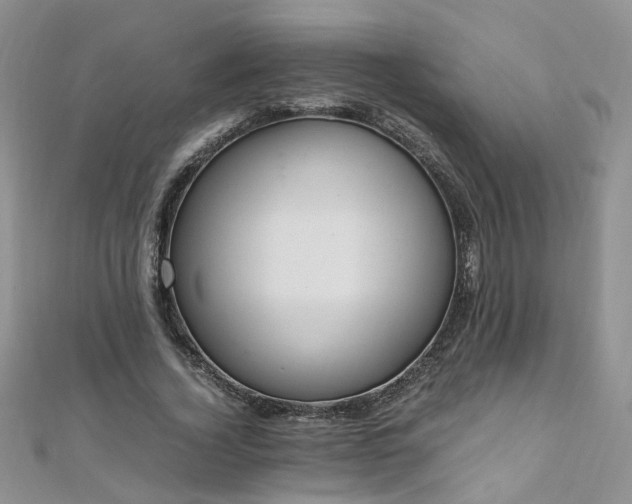 X0000110910732200906181342